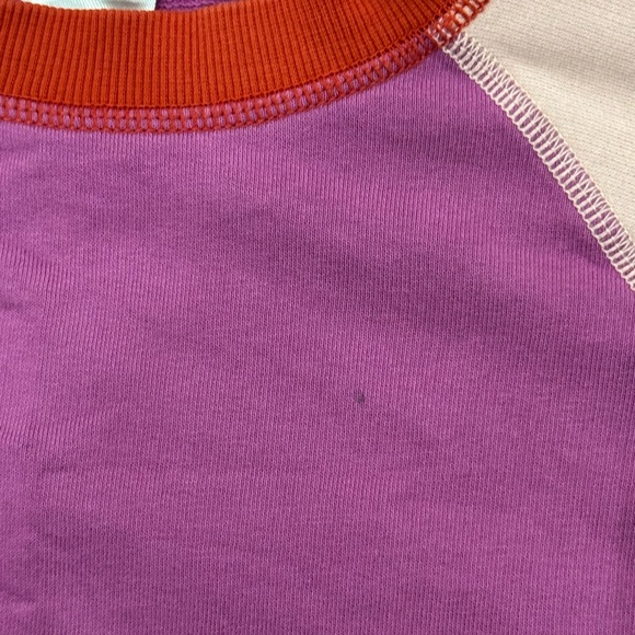 Colorblock Crewneck Sweatshirt - Picture 3 of 3